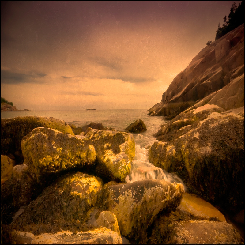 To Aldemir Telles Coconut milk in a dark Sky